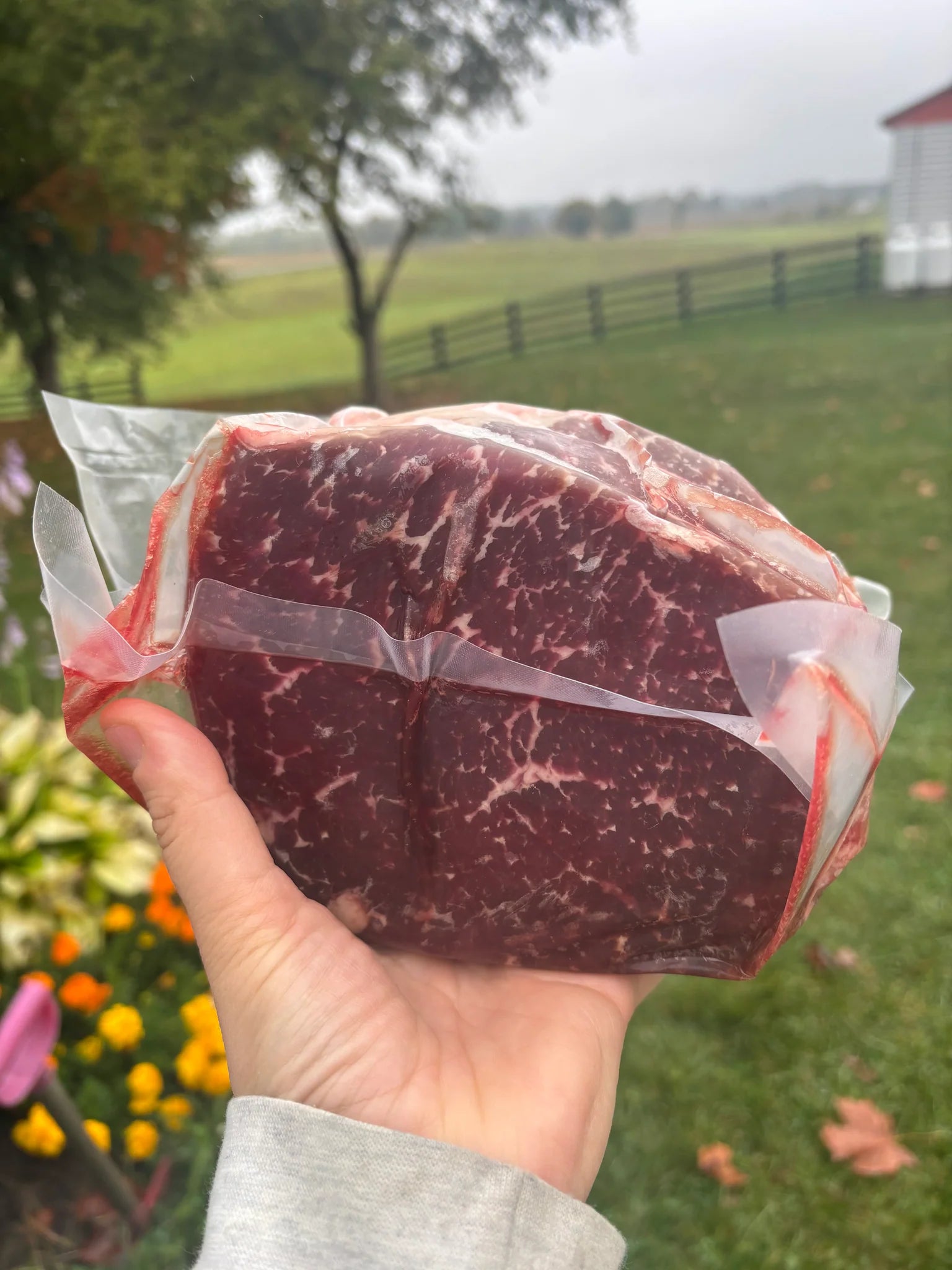 Beef Pot Roast 5 Pack